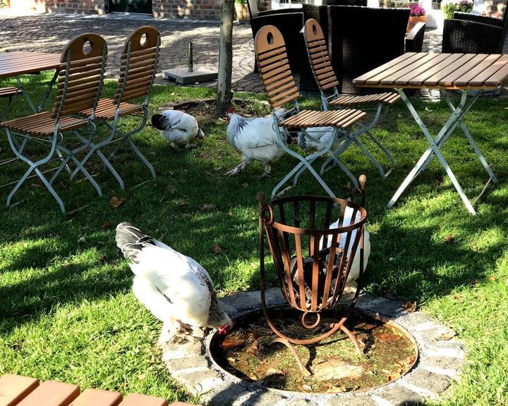 Land-Café Alpakas am Schloss